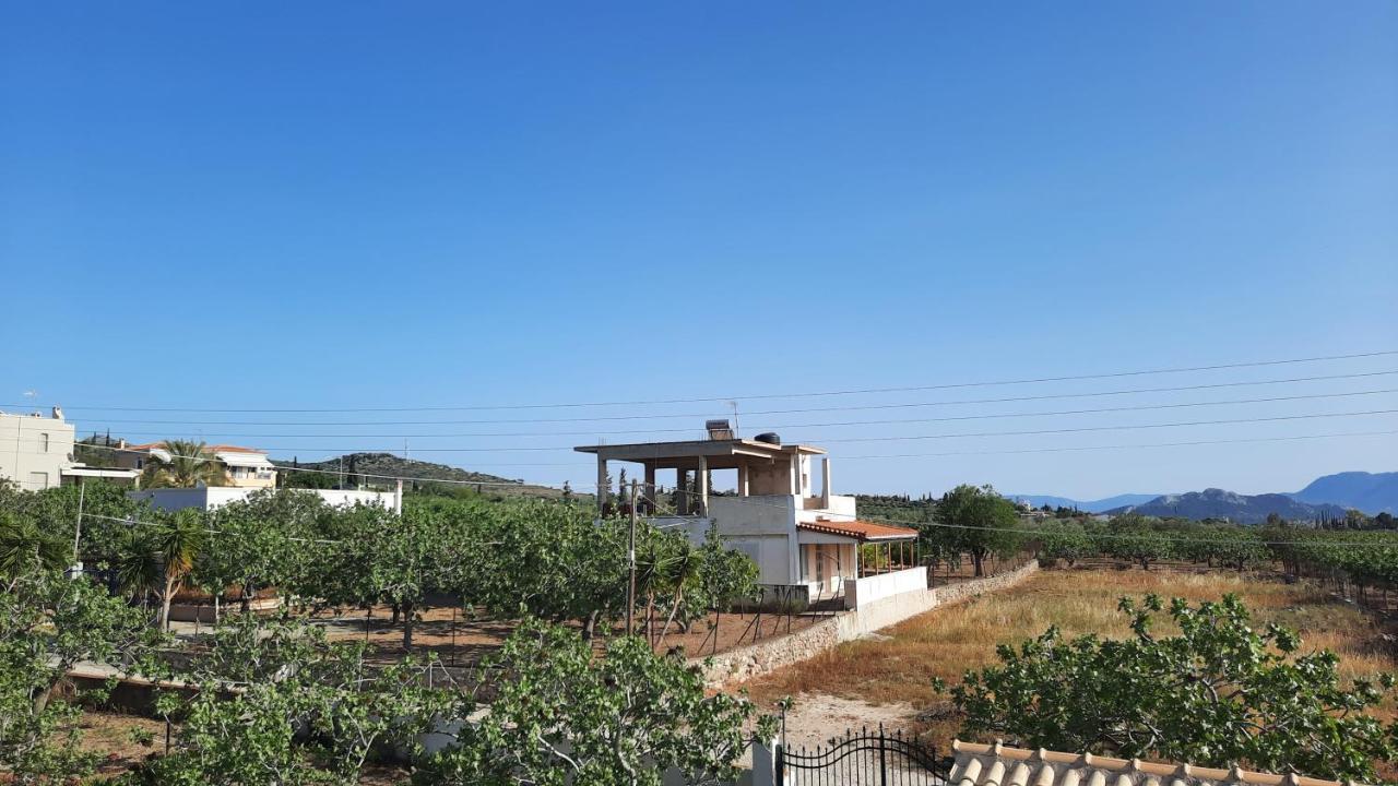 Mosxonas House Apartman Aegina Kültér fotó